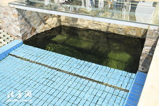 天津寶坻區第一污水處理廠 MBR膜工藝驅動提標擴建，構筑土壤污染治理新防線